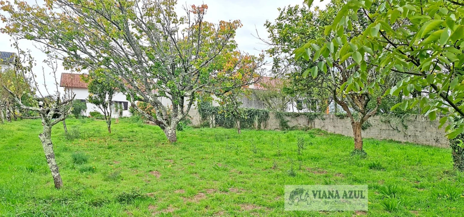 Terreno para Venda em Mujães Foto 8