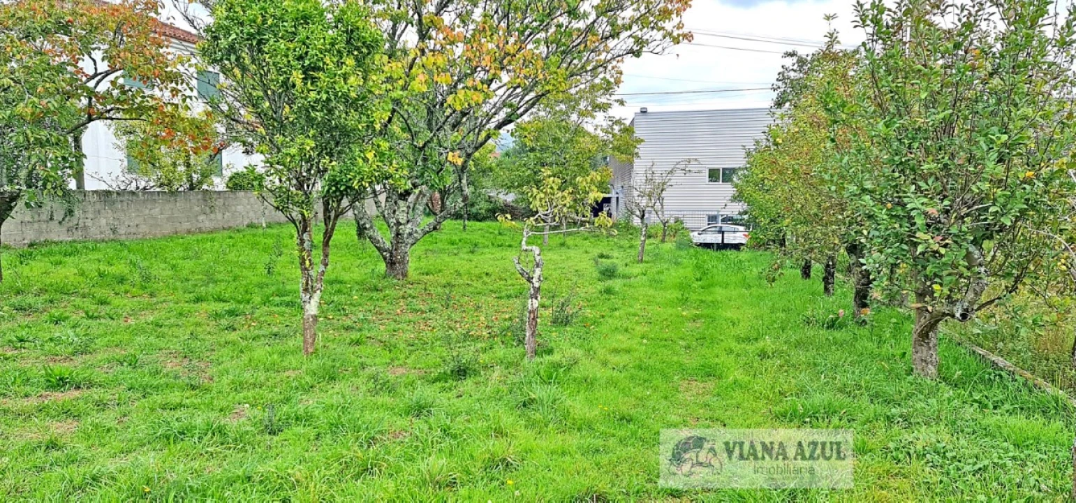 Terreno para Venda em Mujães Foto 9