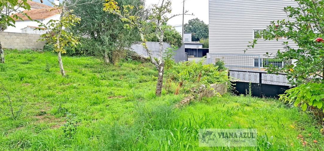 Terreno para Venda em Mujães Foto 4
