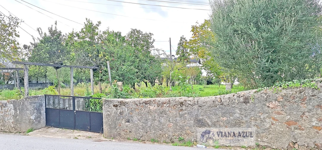 Terreno para Venda em Mujães Foto 11