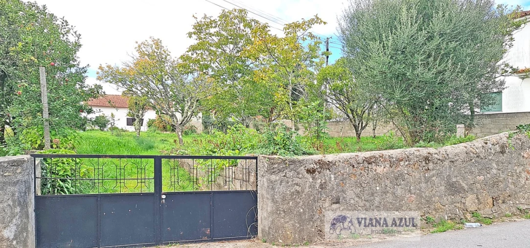 Terreno para Venda em Mujães Foto 12