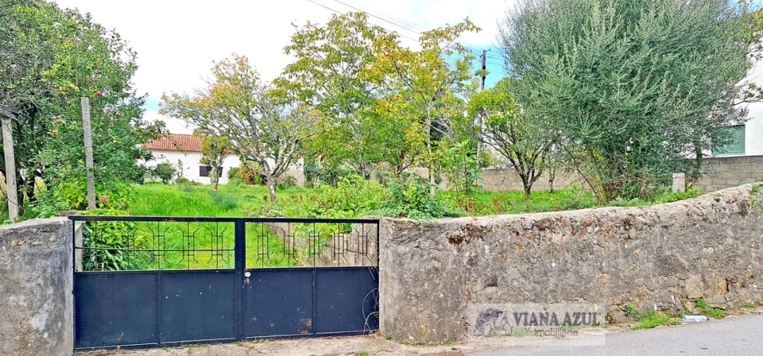 Terreno para Venda em Mujães Foto 13