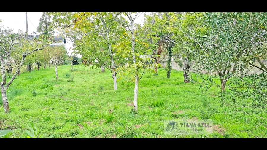 Terreno para Venda em Mujães