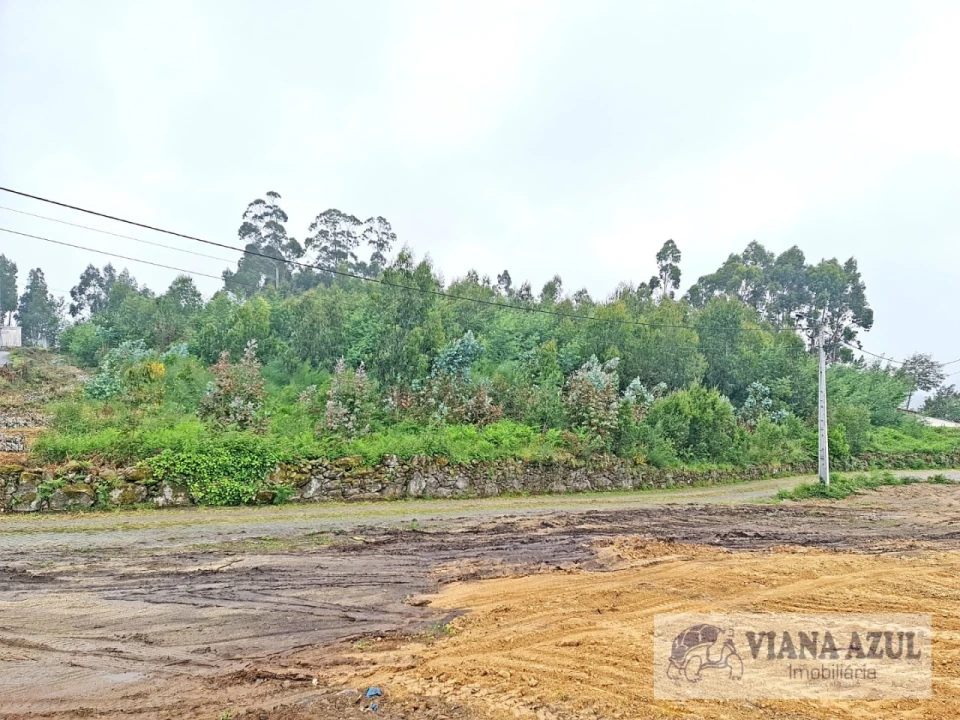 Terreno para Venda em Vila de Punhe Foto 2