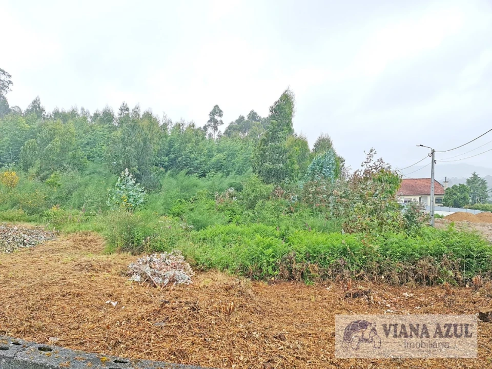 Terreno para Venda em Vila de Punhe Foto 4
