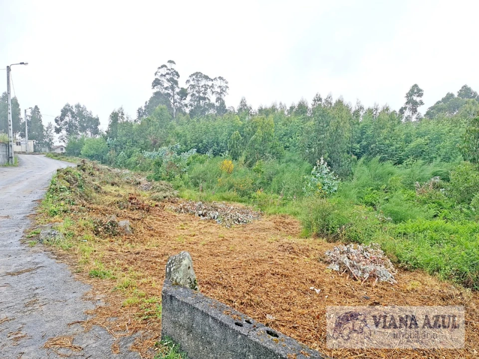 Terreno para Venda em Vila de Punhe Foto 5