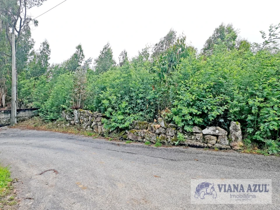 Terreno para Venda em Vila de Punhe Foto 7