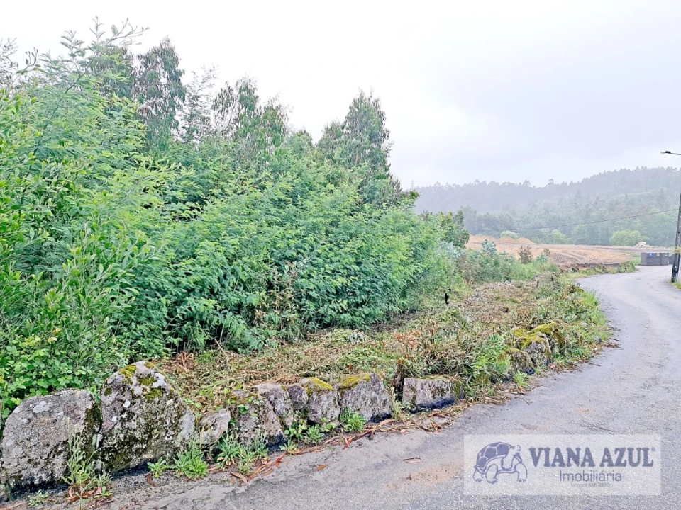 Terreno para Venda em Vila de Punhe Foto 8