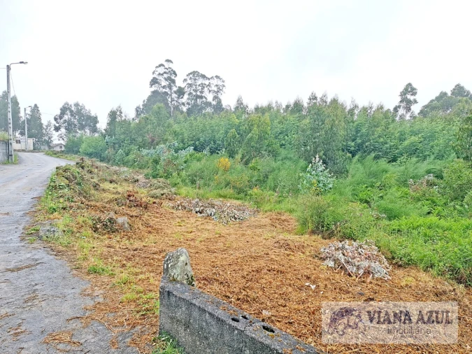 Terreno para Venda em Vila de Punhe Foto 5
