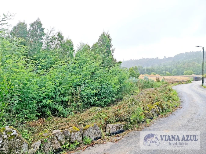 Terreno para Venda em Vila de Punhe Foto 6