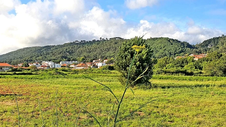 Terreno para Venda em Areosa