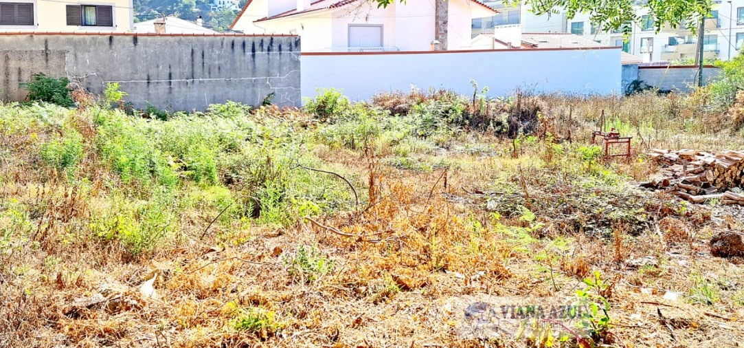 Terreno para Venda em Santa Maria Maior e Monserrate e Meadela Foto 7