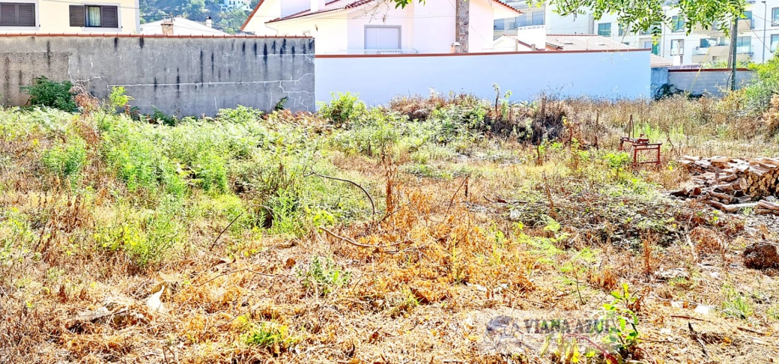 Terreno para Venda em Santa Maria Maior e Monserrate e Meadela Foto 6