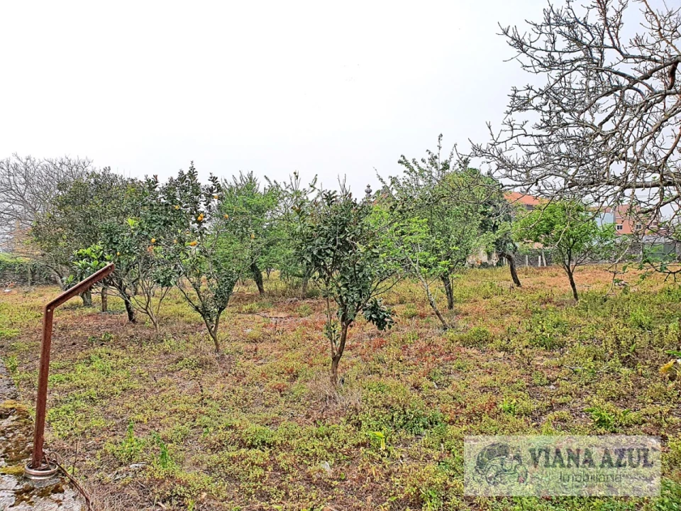 Terreno para Venda em Areosa Foto 1