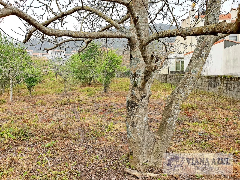 Terreno para Venda em Areosa Foto 11