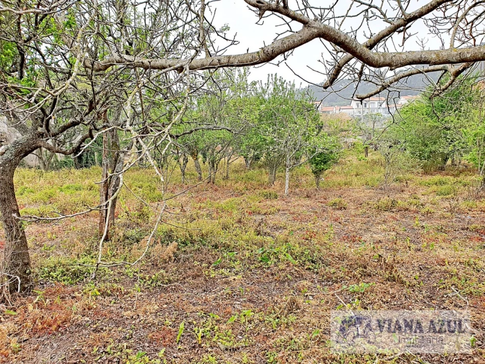 Terreno para Venda em Areosa Foto 12