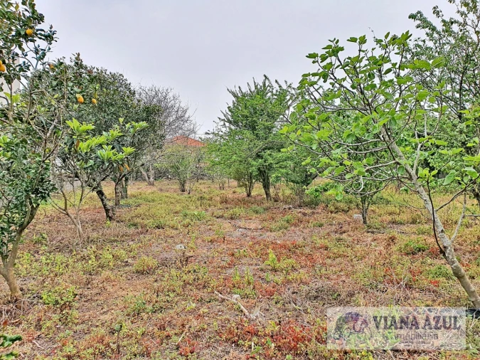 Terreno para Venda em Areosa Foto 2