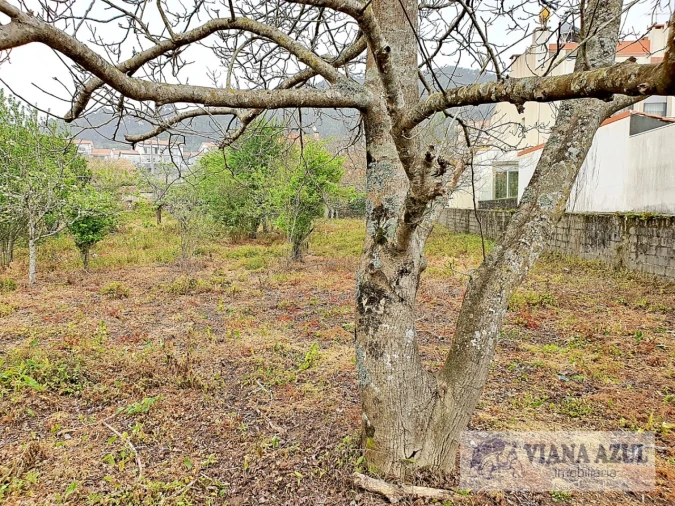 Terreno para Venda em Areosa Foto 11