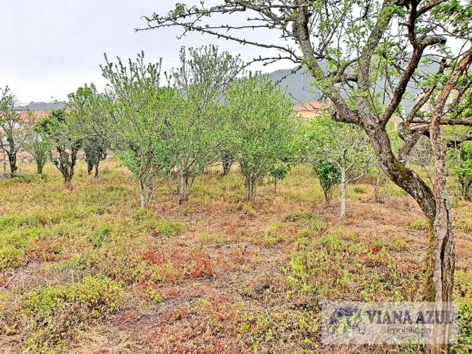 Terreno para Venda em Areosa Foto 13