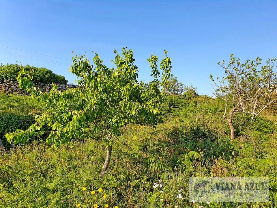 Terreno para Venda em Carreço Foto 11