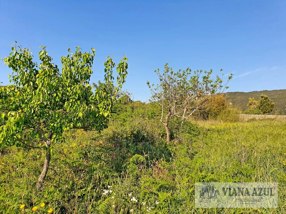 Terreno para Venda em Carreço Foto 12