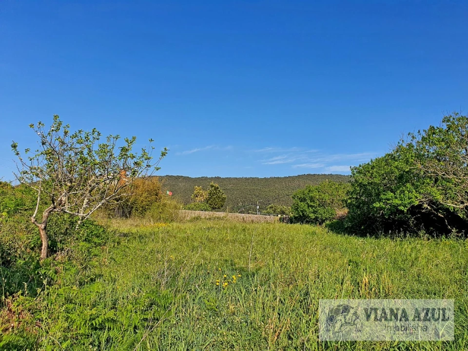 Terreno para Venda em Carreço Foto 13