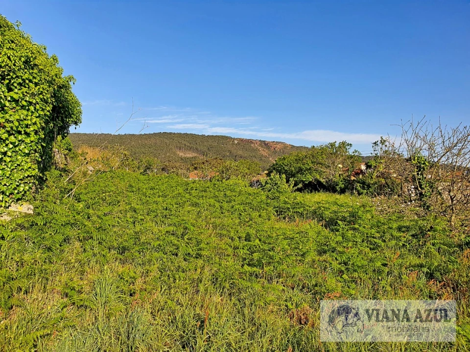 Terreno para Venda em Carreço Foto 15