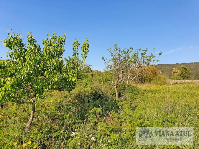 Terreno para Venda em Carreço Foto 12