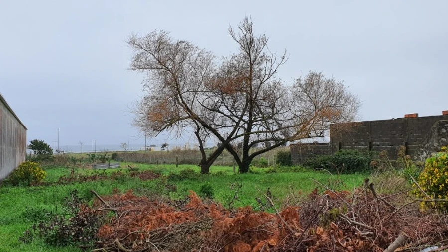 Terreno para Venda em Areosa