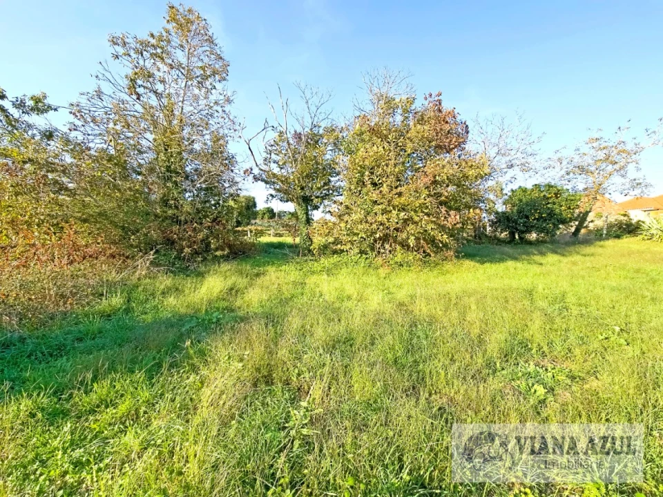 Terreno para Venda em Santa Marta de Portuzelo Foto 5