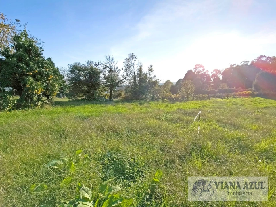 Terreno para Venda em Santa Marta de Portuzelo Foto 12