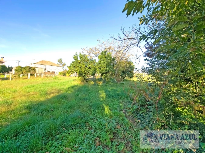 Terreno para Venda em Santa Marta de Portuzelo Foto 7