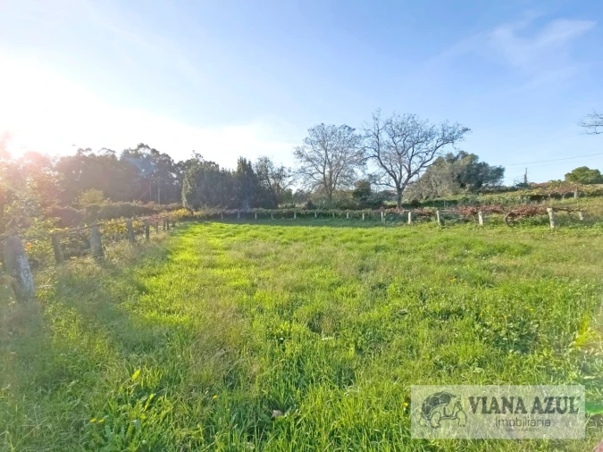 Terreno para Venda em Santa Marta de Portuzelo Foto 8
