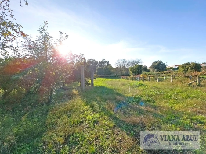 Terreno para Venda em Santa Marta de Portuzelo Foto 14