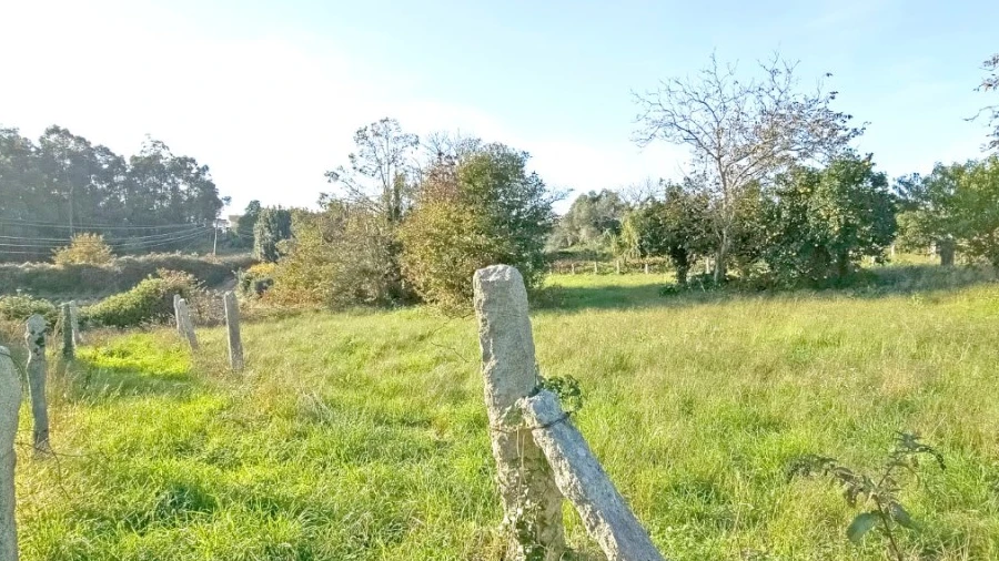 Terreno para Venda em Santa Marta de Portuzelo
