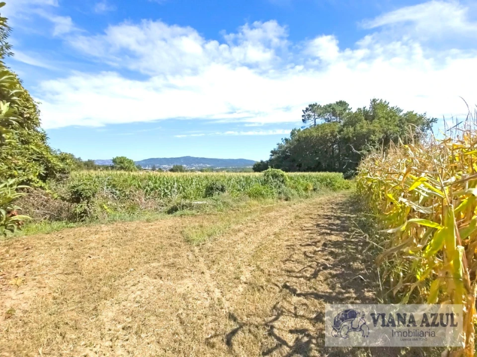 Terreno para Venda em Cardielos e Serreleis Foto 4