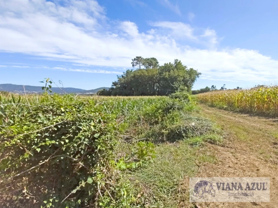 Terreno para Venda em Cardielos e Serreleis Foto 7