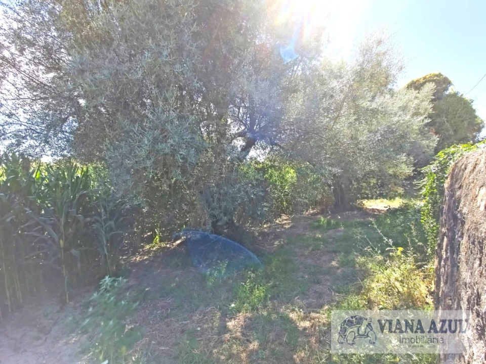 Terreno para Venda em Cardielos e Serreleis Foto 8