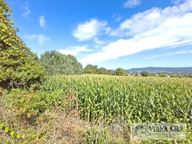 Terreno para Venda em Cardielos e Serreleis