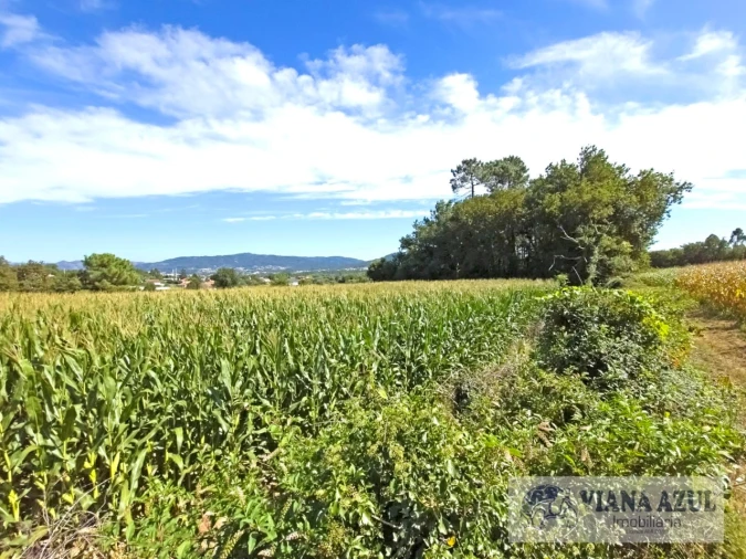 Terreno para Venda em Cardielos e Serreleis Foto 2