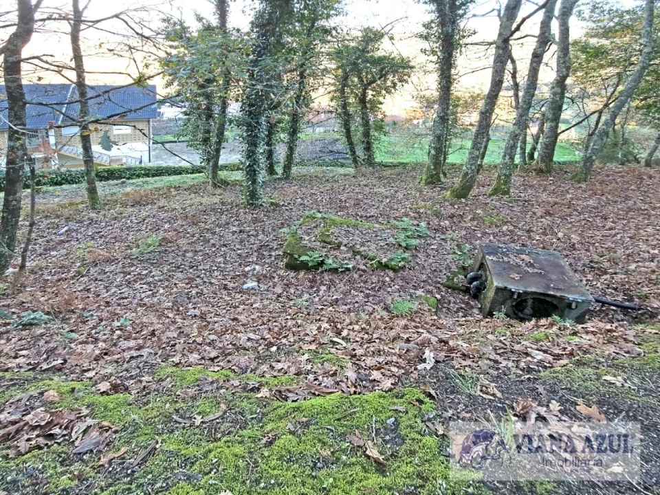Terreno para Venda em Azere Foto 8
