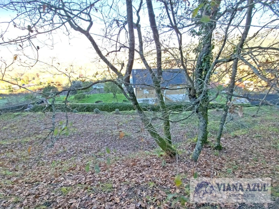 Terreno para Venda em Azere Foto 9