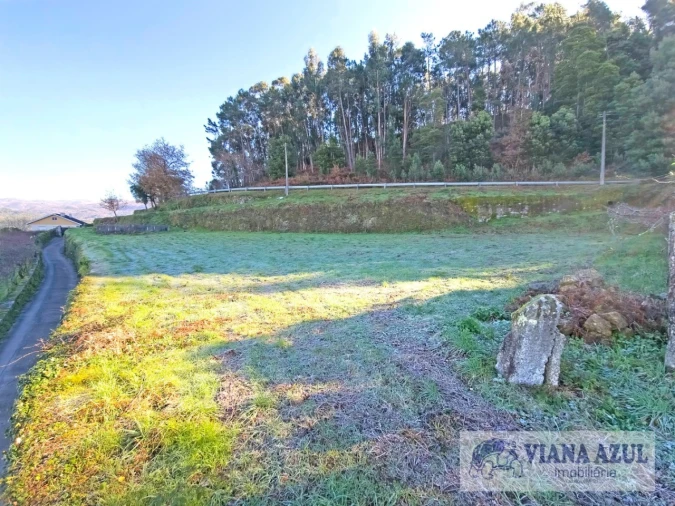 Terreno para Venda em Azere Foto 1