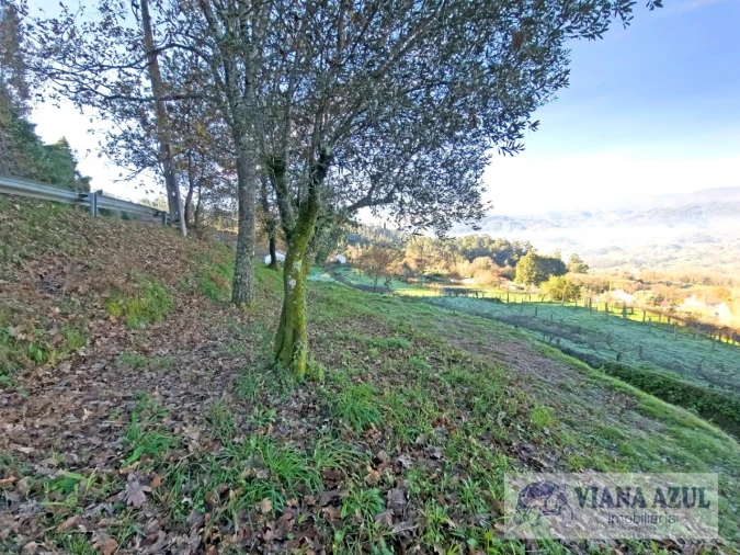 Terreno para Venda em Azere Foto 10