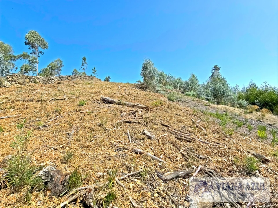 Terreno para Venda em Santa Maria Maior e Monserrate e Meadela Foto 9