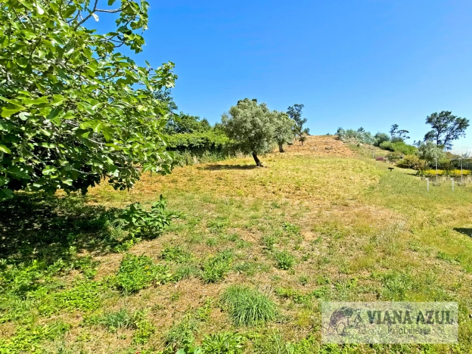 Terreno para Venda em Santa Maria Maior e Monserrate e Meadela Foto 14