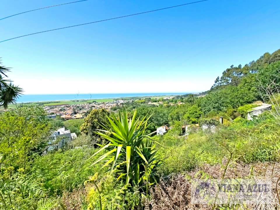 Terreno para Venda em Areosa Foto 5