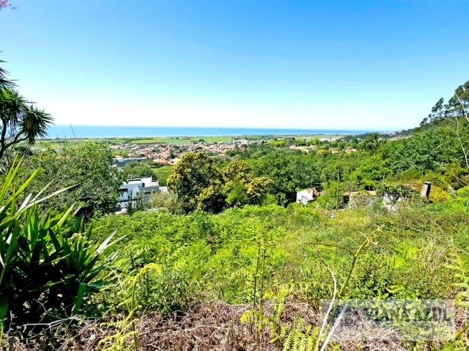 Terreno para Venda em Areosa Foto 7