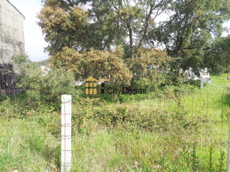 Terreno para Venda em Baguim do Monte (Rio Tinto) Foto 5