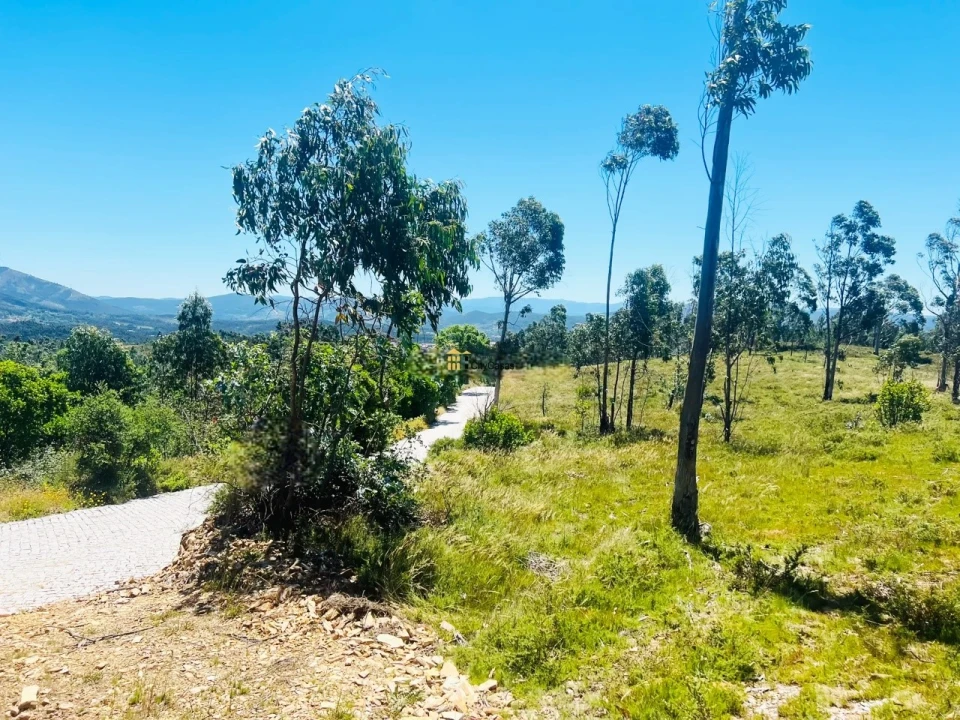 Terreno para Venda em Melres e Medas Foto 3